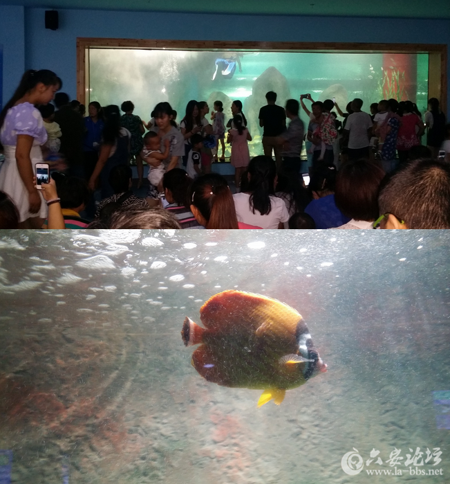 QQ截图20150825083423.png