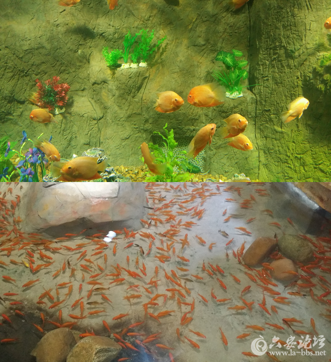 QQ截图20150825083435.png