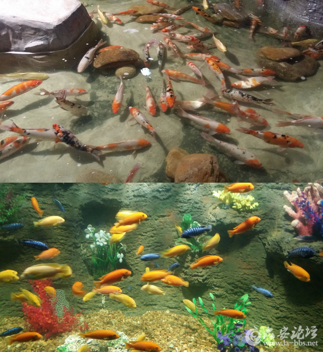QQ截图20150825083502.png