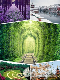QQ截图20150825153248.png
