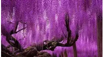 QQ截图20150826162705.png