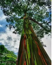 QQ截图20150826162823.png