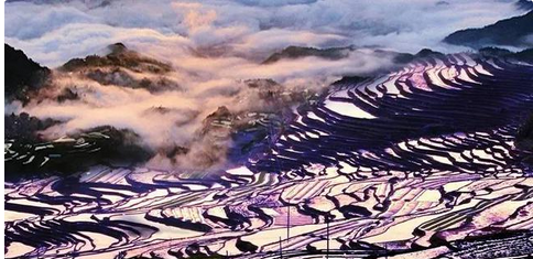 QQ截图20150905161020.png