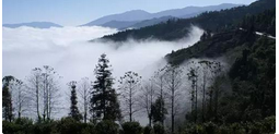 QQ截图20150910170250.png