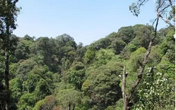 QQ截图20150910170301.png