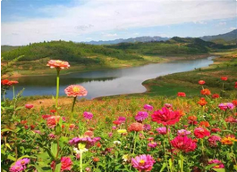 QQ截图20150915155258.png