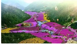 QQ截图20150915155252.png