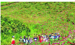QQ截图20150915155354.png