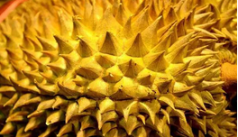 QQ截图20150918154511.png