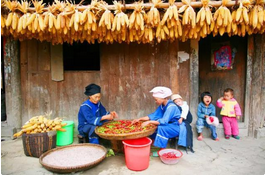 QQ截图20150919154903.png