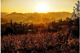 QQ截图20150922153433.png