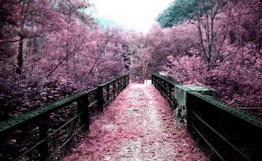 QQ截图20150923155939.png