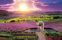 QQ截图20150924165356.png