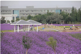 QQ截图20150924165405.png