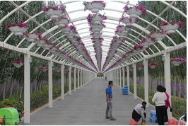 QQ截图20150924165433.png