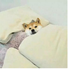 QQ截图20150924171524.png