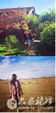 QQ截图20150925154527.png