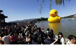 QQ截图20150925155506.png