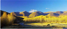 QQ截图20150925155545.png