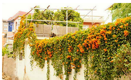 QQ截图20150925155617.png QQ截图20150925155617.png
