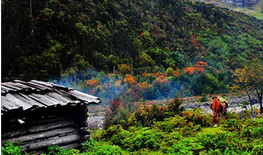 QQ截图20150925155628.png