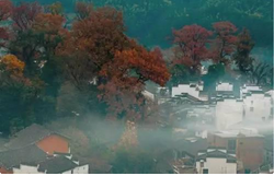 QQ截图20150928154925.png