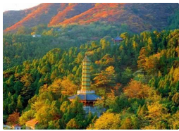 QQ截图20150928154930.png
