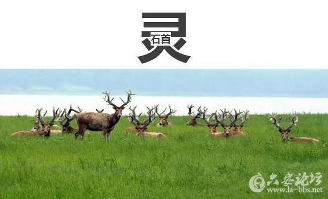 QQ截图20150929160727.png