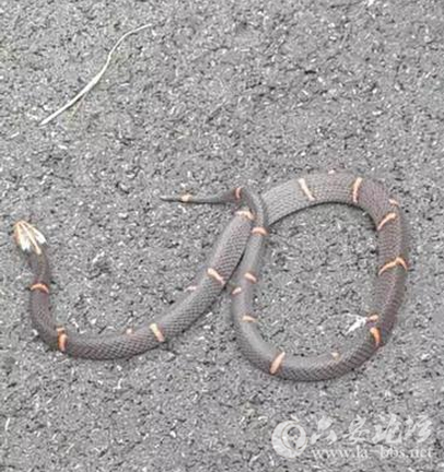 QQ截图20150929162900.png