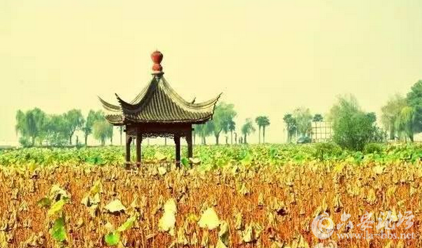 QQ截图20151006155138.png
