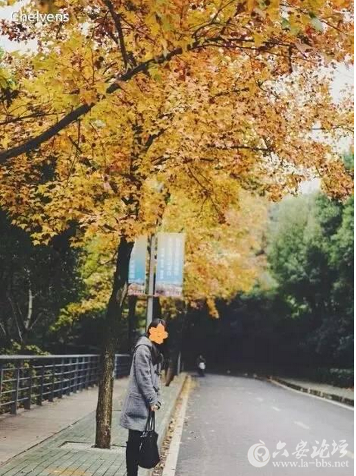 QQ截图20151006155225.png