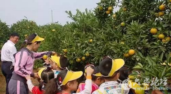 QQ截图20151006155306.png