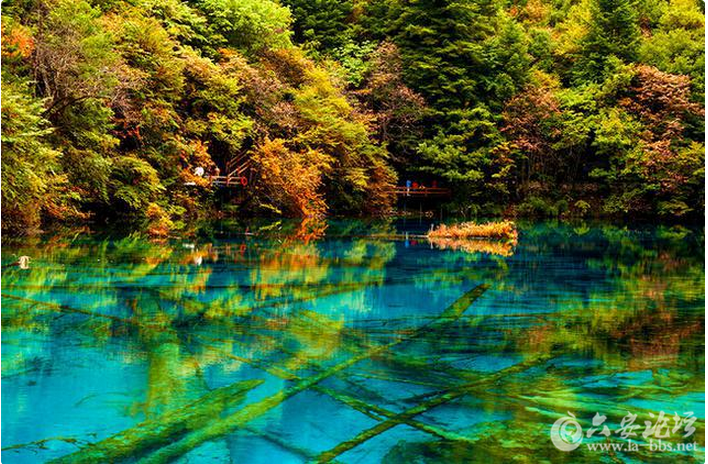 QQ截图20151006160427.png