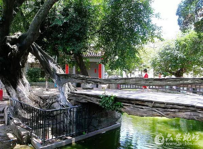 QQ截图20151007163519.png