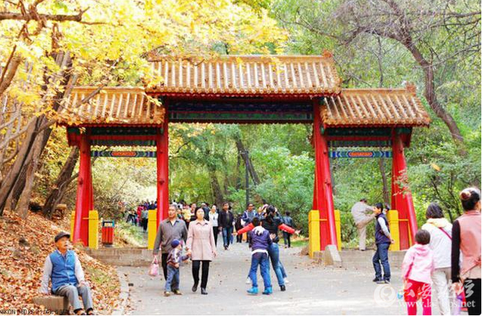 QQ截图20151008154914.png