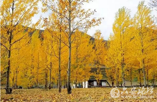 QQ截图20151012154426.png