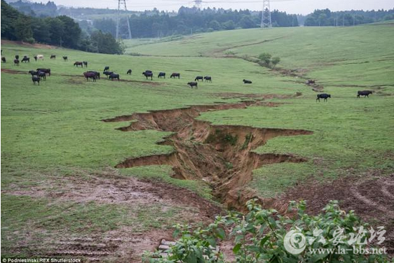 QQ截图20151013141305.png