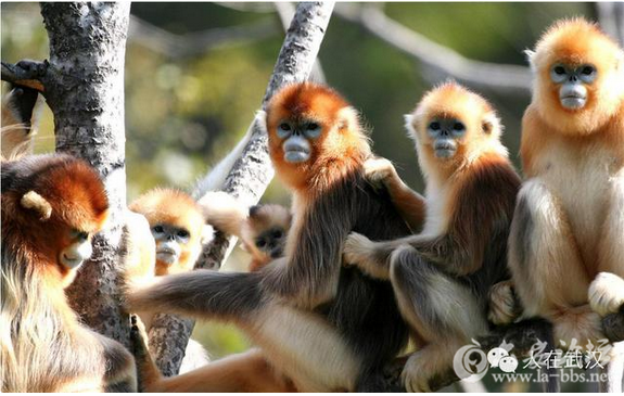 QQ截图20151013145147.png