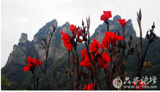 QQ截图20151014151430.png