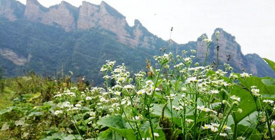 QQ截图20151014151441.png