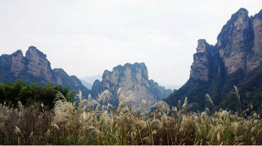 QQ截图20151014151446.png