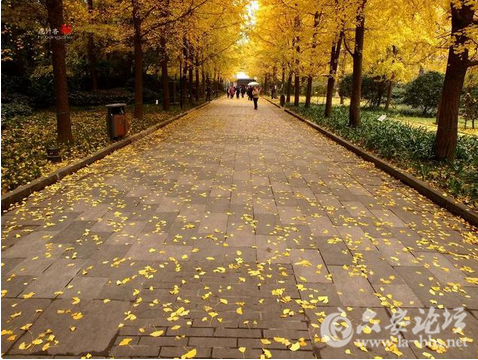 QQ截图20151020151934.png