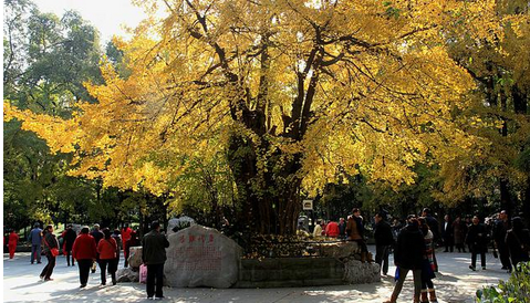QQ截图20151020151940.png