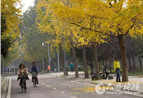 QQ截图20151020151946.png