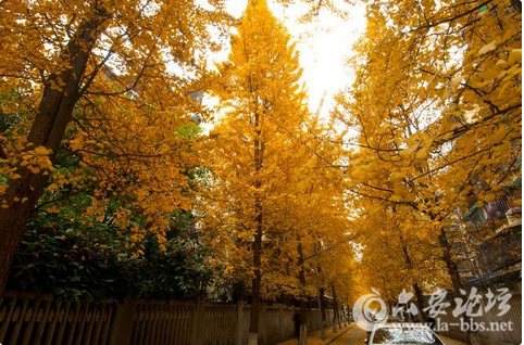 QQ截图20151020151952.png
