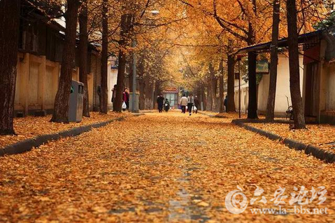 QQ截图20151020152002.png