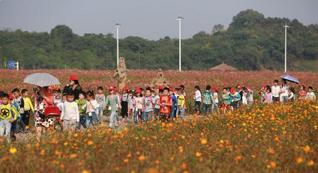 QQ截图20151021160207.png