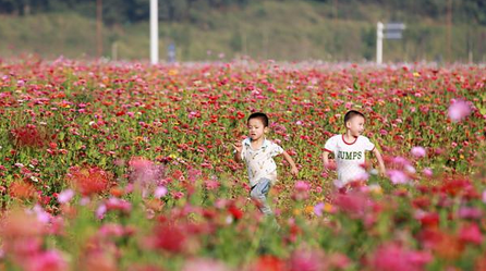 QQ截图20151021160217.png
