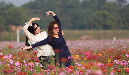 QQ截图20151021160223.png