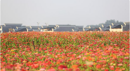 QQ截图20151021160228.png